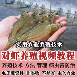 对虾养殖技术视频教学教程水质管理日常养护疾病防治南美白素材-淘宝虚拟仓