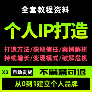 个人IP打造教程如何快速打造个人IP社交品牌定位训练营资料大全新-淘宝虚拟仓