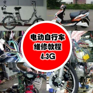 学电动车维修技术电动自行车维修技术电瓶修复技巧视频教程教学-淘宝虚拟仓