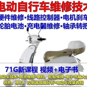 电动车维修视频自学教程零基础学习常见故障保养技术案例讲解大全-淘宝虚拟仓