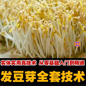 自学发豆芽技术资料豆芽加工制作方法教学 培育豆芽商用视频教程-淘宝虚拟仓
